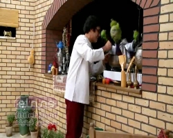 چندجوری های فیتیله - 30